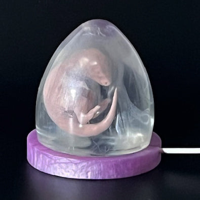 3D Printed and Resin Velociraptor Egg Statue Crystal Dinosaur Sculpture - Display Model Purple Pearl Resin